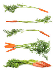 Set of fresh ripe carrots on white background