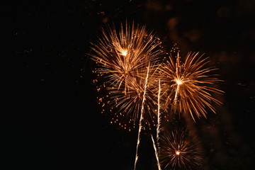  fireworks explosive on dark sky in night