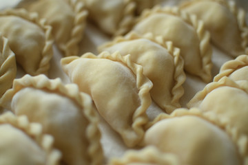 Uncooked homemade russian vareniki on white background, close up