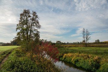 Jeziorka river at autumn near Piaseczno, Poland - 308997708