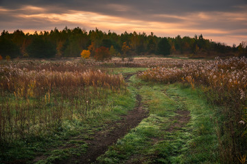 Fototapeta premium Dirt road in Jeziorka valley near Piaseczno, Poland