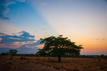 2019_october_brazil_trip