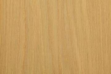 Naklejka premium オーク