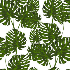 Seamless tropical pattern with monstera leaves. Graphic vector background.