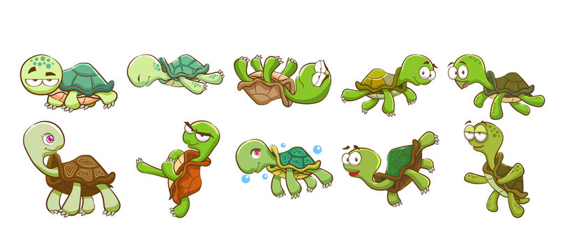 Turtle Vector Set Collection Graphic Clipart Design