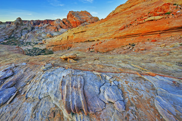 Rocky desert landscape at twilight, Valley of Fire State Park, Nevada, USA