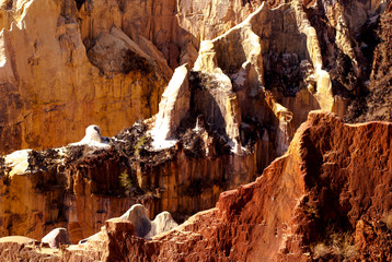 canyon, grands lavaka Ankarokaroka, Parc National Ankarafantsika, Madagascar