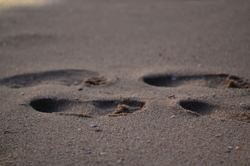 footprints in the sand