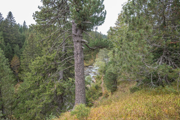 Schweiz, Landschaft in den Hochalpen im Herbst