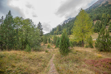 Schweiz, Landschaft in den Hochalpen im Herbst