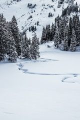 Obraz premium winterwonderland