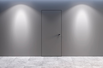 Modern empty interior with door and spotlight on a gray wall. Front view. 3d illustration
