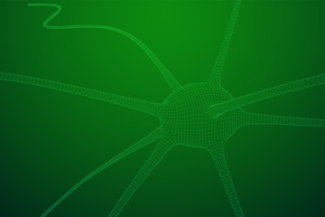 Neuron system wireframe mesh model. Low poly vector illustration. Science and medical healthcare concept