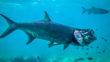 United States Virgin Islands