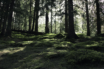 swiss landscapes and mountains