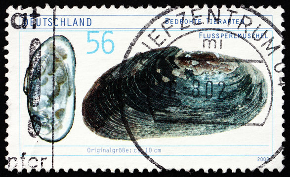 Postage stamp Germany 2002 freshwater pearl mussel