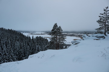 winter mountain landscape with snowy trees and snow