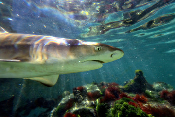 United States Virgin Islands