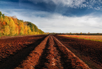 Pile of ground peat at an excavation side in a peat bog in Northwestern Germany