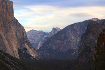 Fototapeta premium Yosemite Valley Mountain Landscape