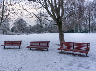 Winter day outdoors in the park