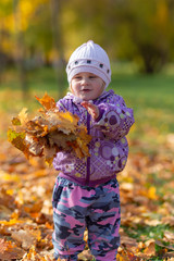 The child throws yellow maple leaves.