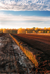 Rows of cutted peat at an excavation side in a peat bog at Northwestern Germany
