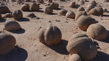 Globular sandstone concretions resembling pumpkins at Pumpkin Patch in Ocotillo Wells. 