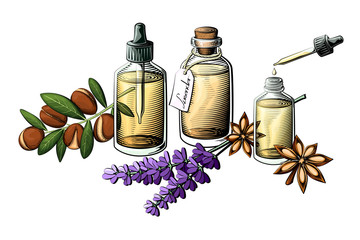 Essential oil bottle vector set. Extracts from Argan, lavender and Anise.