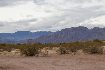 View of the desert and mountains