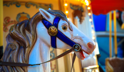 Horse closeup for Carousel ride