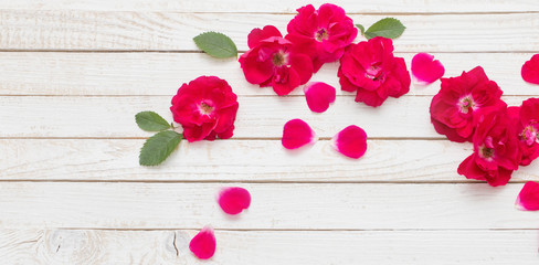red roses on white wooden background