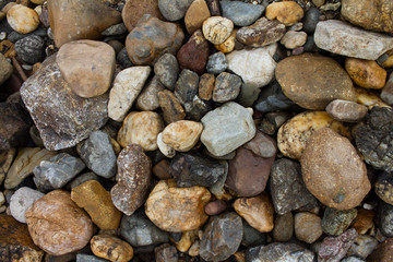 texture of small stones of different colors and shapes
