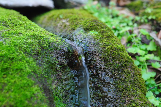 Tiny rill flowing through the rocks and moss