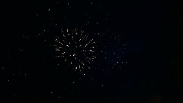 Bright festive fireworks in the night sky