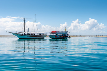 Recife de Fora Porto Seguro
