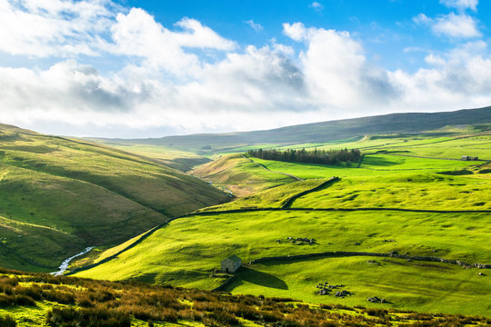 Darnbrook moor. Yorkshire Dales