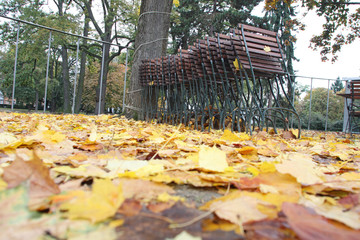 Gartenstühle im Herbst