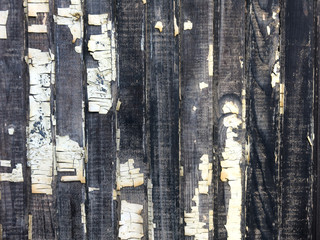 texture of vintage wooden vertical fence black with white peeling paint