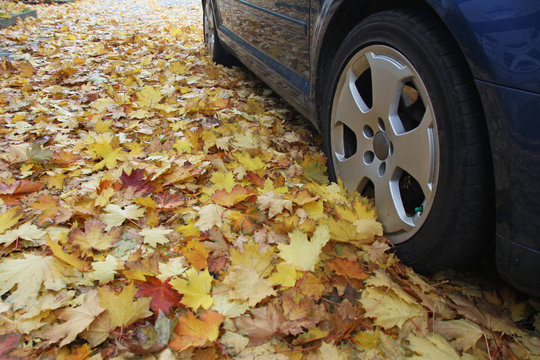 Parken im Herbst