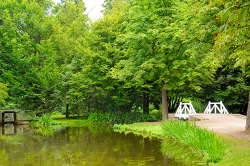 Obraz premium City park with a small pond, paths and a bridge.
