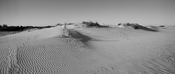 Black and white view of small sand dunes