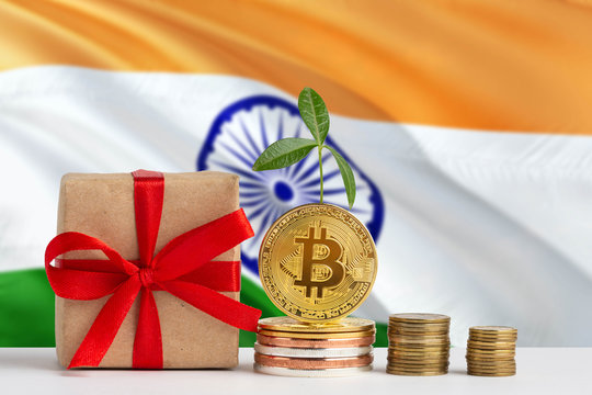 India investing concept. Golden bitcoin piles next to gift box and green plant. National flag theme about savings with copy space.