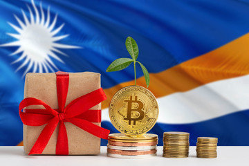 Marshall Islands investing concept. Golden bitcoin piles next to gift box and green plant. National flag theme about savings with copy space. - Powered by Adobe