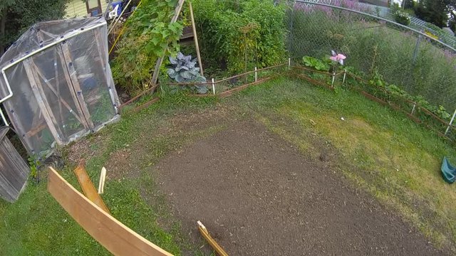 Home gardening - Slow motion of wooden plank being throw on ground for later use in garden bed fence or border construction. View from first person perspective, wide angle lens