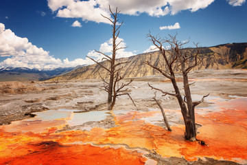 Mammoth Hot Springs, P.N. Yellowstone