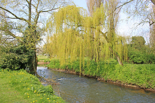  Cod Beck river in Thirsk