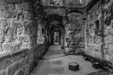 Fototapeta na wymiar The ruins of Burg Oybin, founded as Celestines monastery in 1369 in the Zittau Mountains on the border of Germany (Saxony) with the Czech Republic. Black and white.