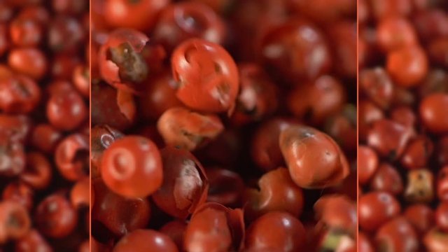 Collage of berries of Himalayan pink pepper. Pepper berries are falling. Macro. Rotation.