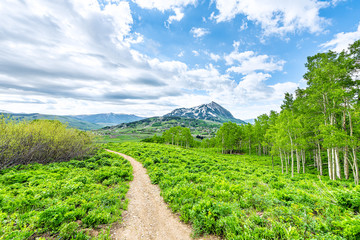 Fototapeta na wymiar Mount Crested Butte, Colorado town cityscape in background in summer with green grass and footpath trail road wide angle view